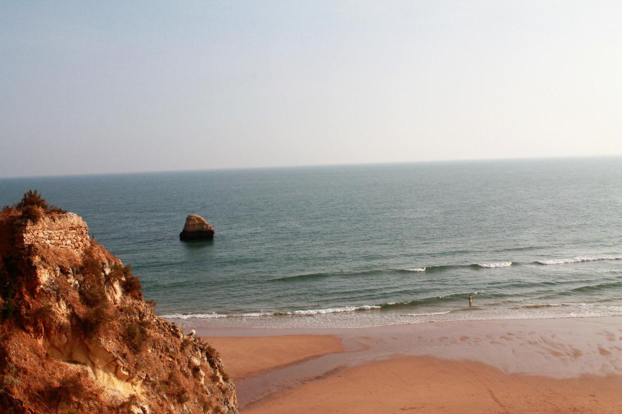Praia Da Rocha, Vila Rosa, T1, Piscinas, Parqueamento E Internet By Ig Portimão Eksteriør bilde